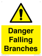 WV10531: Danger Falling Branches