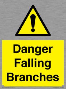 WV10531: Danger Falling Branches