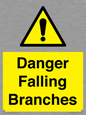 WV10531: Danger Falling Branches