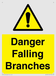 WV10531: Danger Falling Branches