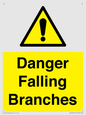 WV10531: Danger Falling Branches