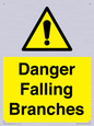WV10531: Danger Falling Branches