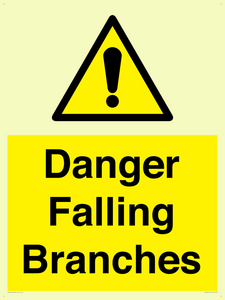 WV10531: Danger Falling Branches