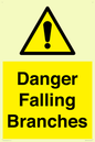 WV10531: Danger Falling Branches