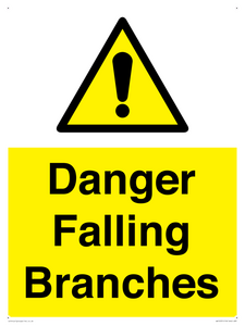 WV10531: Danger Falling Branches