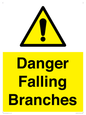WV10531: Danger Falling Branches
