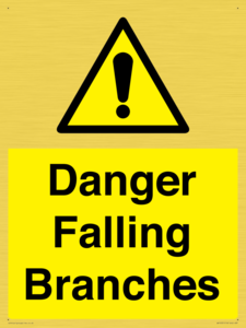WV10531: Danger Falling Branches