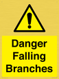 WV10531: Danger Falling Branches