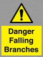 WV10531: Danger Falling Branches