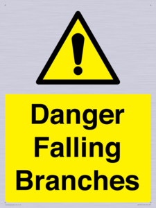 WV10531: Danger Falling Branches
