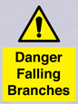 WV10531: Danger Falling Branches