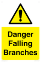 WV10531: Danger Falling Branches