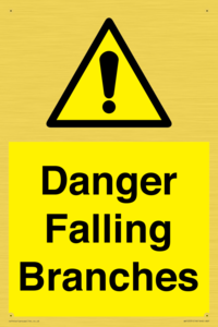 WV10531: Danger Falling Branches