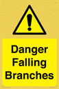 WV10531: Danger Falling Branches