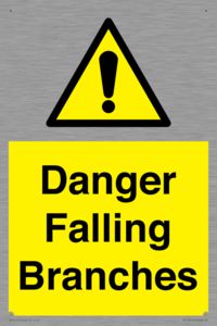 WV10531: Danger Falling Branches