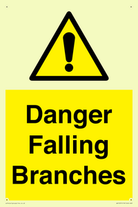 WV10531: Danger Falling Branches