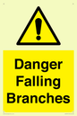 WV10531: Danger Falling Branches