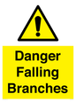 WV10531: Danger Falling Branches
