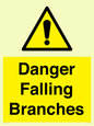 WV10531: Danger Falling Branches