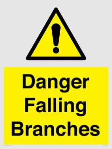 WV10531: Danger Falling Branches