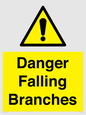 WV10531: Danger Falling Branches