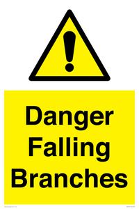 WV10531: Danger Falling Branches