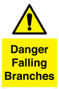 WV10531: Danger Falling Branches
