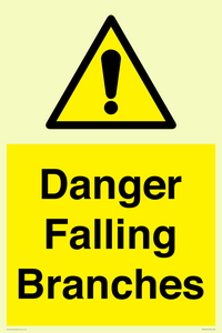 WV10531: Danger Falling Branches
