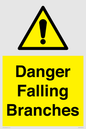 WV10531: Danger Falling Branches