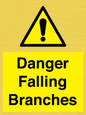 WV10531: Danger Falling Branches