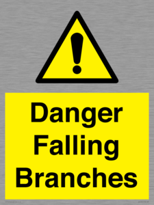 WV10531: Danger Falling Branches