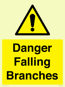 WV10531: Danger Falling Branches