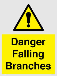 WV10531: Danger Falling Branches
