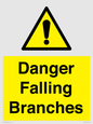 WV10531: Danger Falling Branches