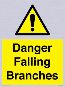 WV10531: Danger Falling Branches