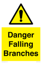 WV10531: Danger Falling Branches