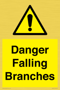 WV10531: Danger Falling Branches