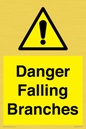 WV10531: Danger Falling Branches