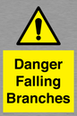 WV10531: Danger Falling Branches