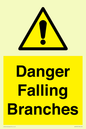 WV10531: Danger Falling Branches