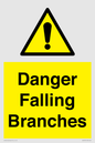 WV10531: Danger Falling Branches