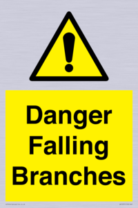 WV10531: Danger Falling Branches