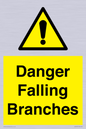 WV10531: Danger Falling Branches