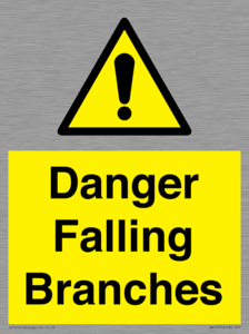 WV10531: Danger Falling Branches