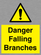 WV10531: Danger Falling Branches