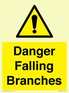 WV10531: Danger Falling Branches