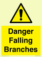 WV10531: Danger Falling Branches