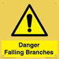 WV10531: Danger Falling Branches