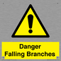 WV10531: Danger Falling Branches