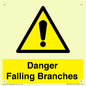 WV10531: Danger Falling Branches